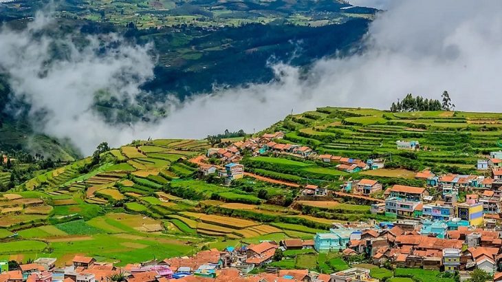 Ooty Hills Retreat